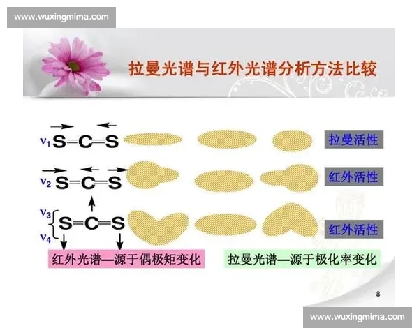 拉曼vs红外光谱技术原理应用优势与检测场景全面对比解析深度指南